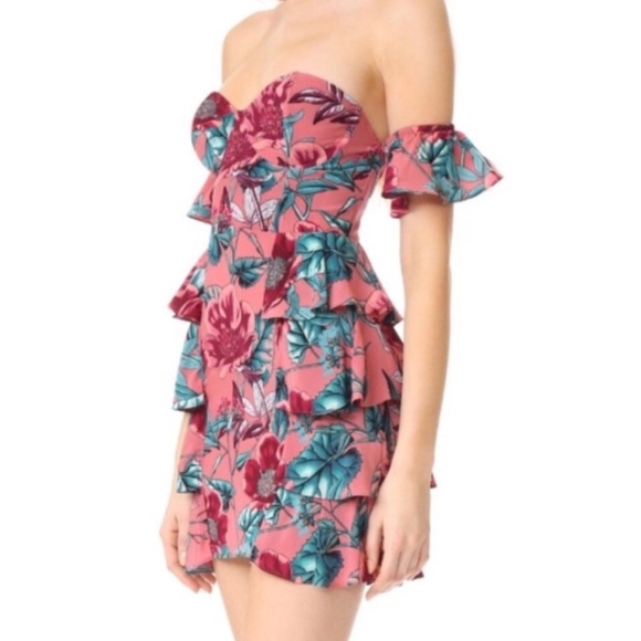 For Love And Lemons Dresses & Skirts - For Love and Lemons Flamenco Dress